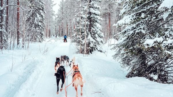 finland deal winterreis 945 euro totaalpakket sneeuwscooter husky ijsvissen sauna
