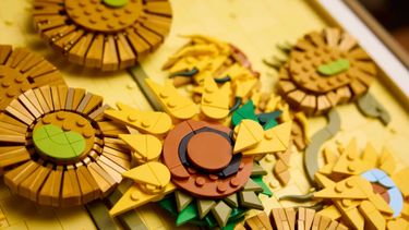 Manners geeft gratis LEGO x Van Gogh-set weg win hem hier