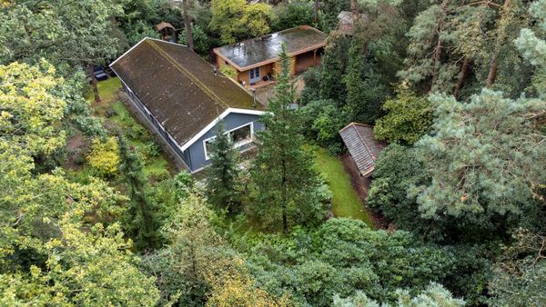 funda huis bos kopen lap grond (6)