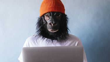 De ondraaglijke lichtheid van AI: 'Je hebt gelijk, ik zat ernaast'