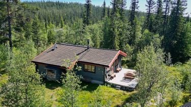 Dit huis in Zweden van €260.000 is je luxe droom in de natuur