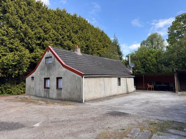 funda bos woning drenthe friesland huis grond woonbestemming (8)