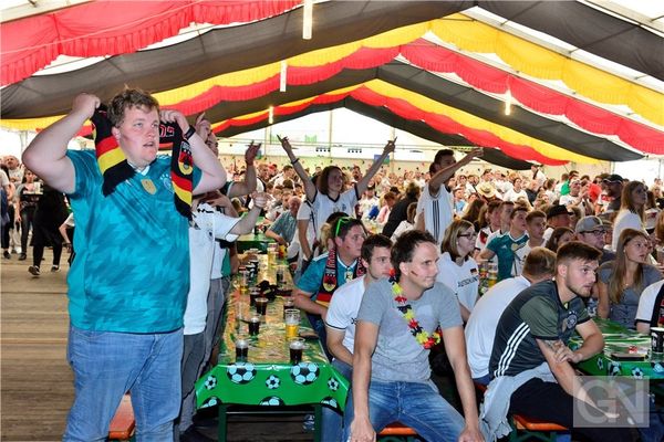 funda villa zwembad sauna tuin bar kroeg duitsland grensregio (19)