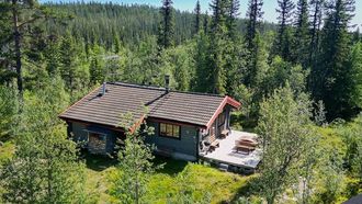 Dit huis in Zweden van €260.000 is je luxe droom in de natuur