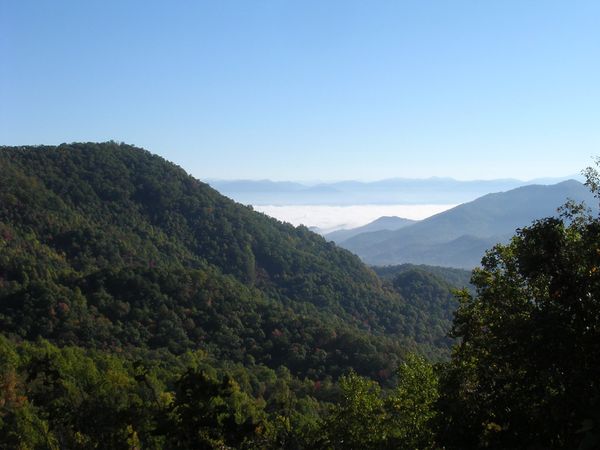 appalachian trail, georgia, wandelen, amerika, verenigde staten