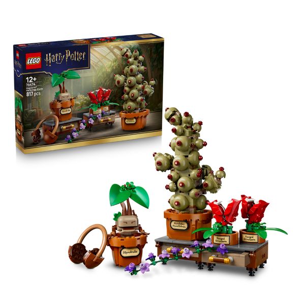 Nieuwe LEGO Harry Potter sets zomer 2026 zweinstein 34344