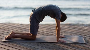 Twee simpele oefeningen die sneller tot sixpack leiden dan sit-ups