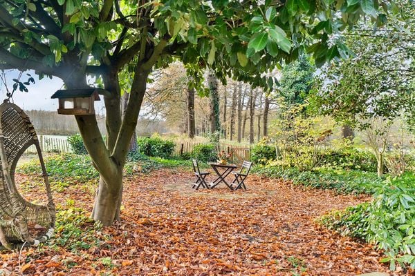 funda boerderij landgoed zwolle natuur huis kopen (19)