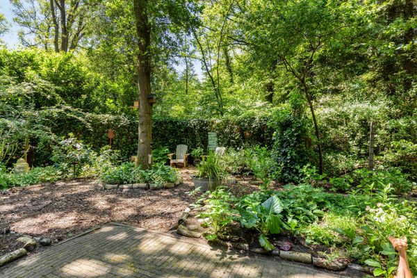 funda huis bos natuur drenthe norg duurzaam energielabel A (9)