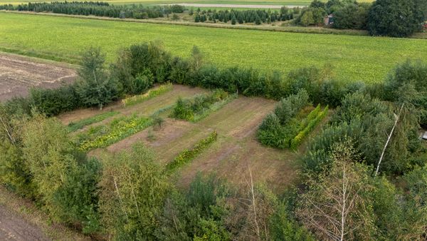 funda nieuw amsterdam drenthe bio boer groenten groot perceel (11)