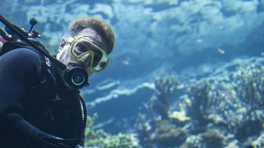 koraal burgers zoo dierentuin klimaat (4)