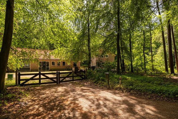 funda woning huis veluwe erfpacht bos perceel
