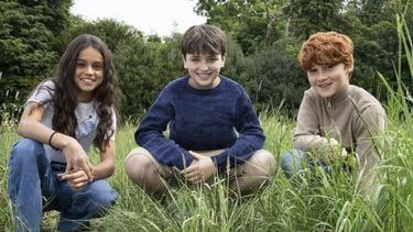 Harry Potter-acteurs onthuld dit zijn Harry, Ron en Hermelien