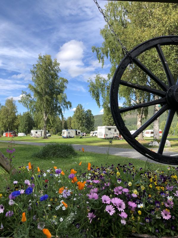 camping hammerstrand in zweden te koop voor spotprijs