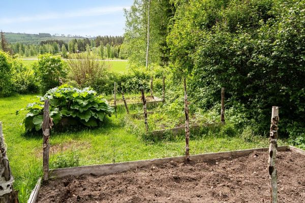 villa met boerderij en b&b in zweden te koop voor 2 ton moestuin