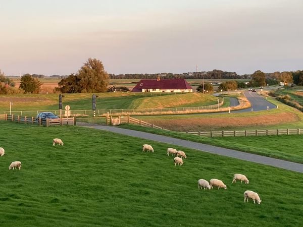 funda parel woonboerderij waddenzee iconische ligging holwerd ameland 375000 euro natuur uitzicht