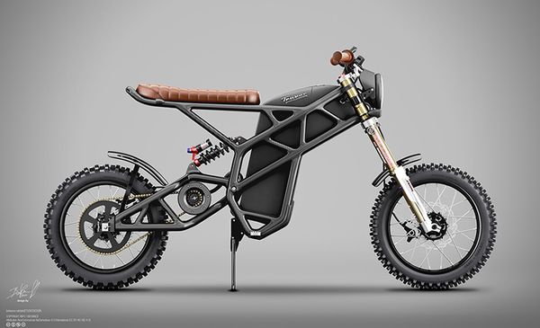 Elektrische Denzel Truvor Scrambler motor
