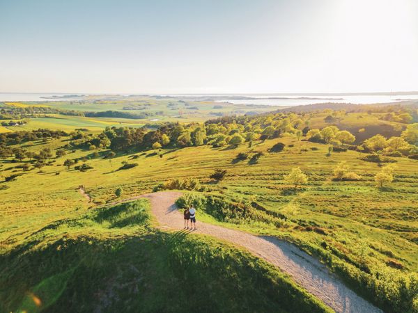 denemarken europa vergroening bos planten luxemburg nederland (2)