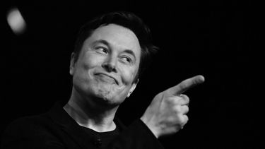 elon musk, tesla, tom zhu, opvolger