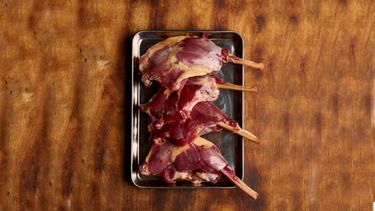 grauwe gans plaagdier eten bestellen restaurant ganzenfilet stoofpot