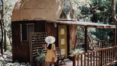 populairste airbnb, wereld, hut, bos, mushroom dome cabin