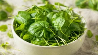 Dit is het gezondste product op aarde: €2 per zak bij de supermarkt