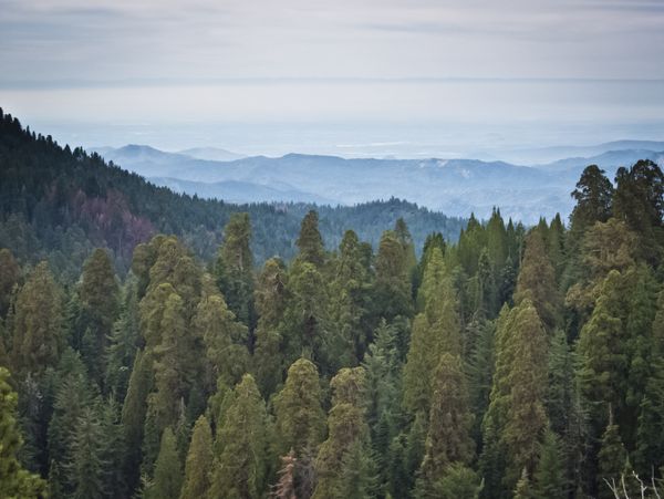 Sequoia National Park, onbekende, nationale parken, amerika