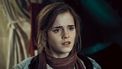 Recordbrekende Harry Potter-killer verovert Nederlandse bios