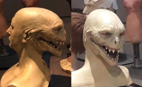 Voldemort in de boeken