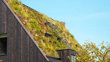 Dit bespaar je met een groen dak airco-alternatief met subsidie