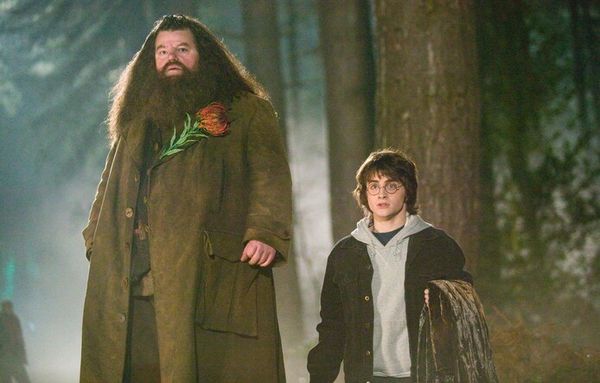 Harry Potter Hagrid acteur cast