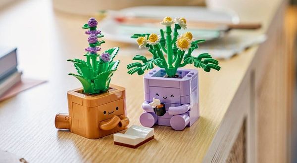 LEGO Botanicals 10371 Cozy Plants lego sets november