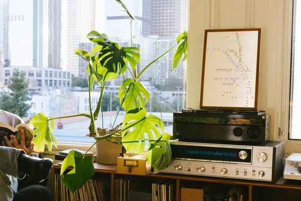 Vergeet Ikea-posters: deze levende kunst haalt het OV in huis metroboard