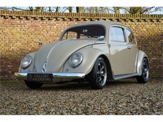 Manuscript uitvegen Toevoeging Droom-oldtimer: betaalbare Volkswagen Kever (1957) in topstaat