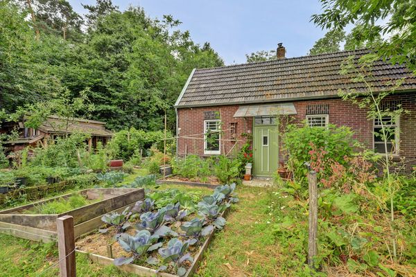 funda arcen natuur groot perceel moestuin B&B (2)