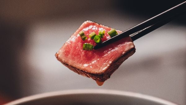 tonijn, voeding, meer dan 90 procent eiwitten