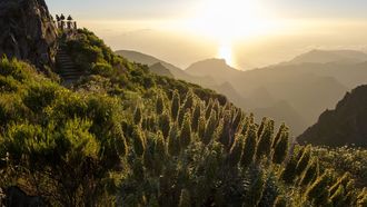 madeira portugal vakantie goedkoop (4)