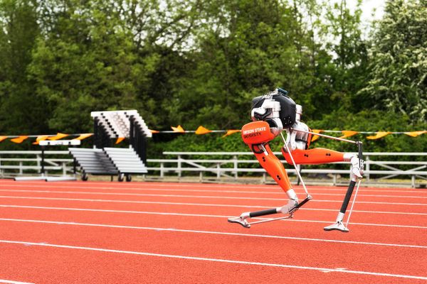 robot, record, 100m