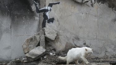 Borodyanka, banksy, oekraïne, street-art, poetin, judo, kiev, gebouw, puin