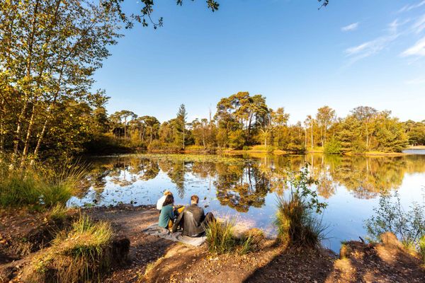 funda bungalow woning woonbestemming vakantiehuis stille wille recreatiepark kopen (9)