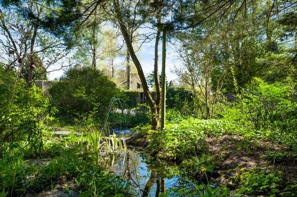 funda huis energielabel a natuur meinweg limburg (8)