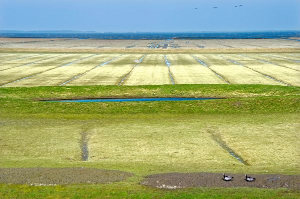 funda parel friesland modern natuur unesco (6) noarderleech