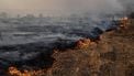 Dit is ons klimaat in 2100: horrorzomer 2026 is pas het begin